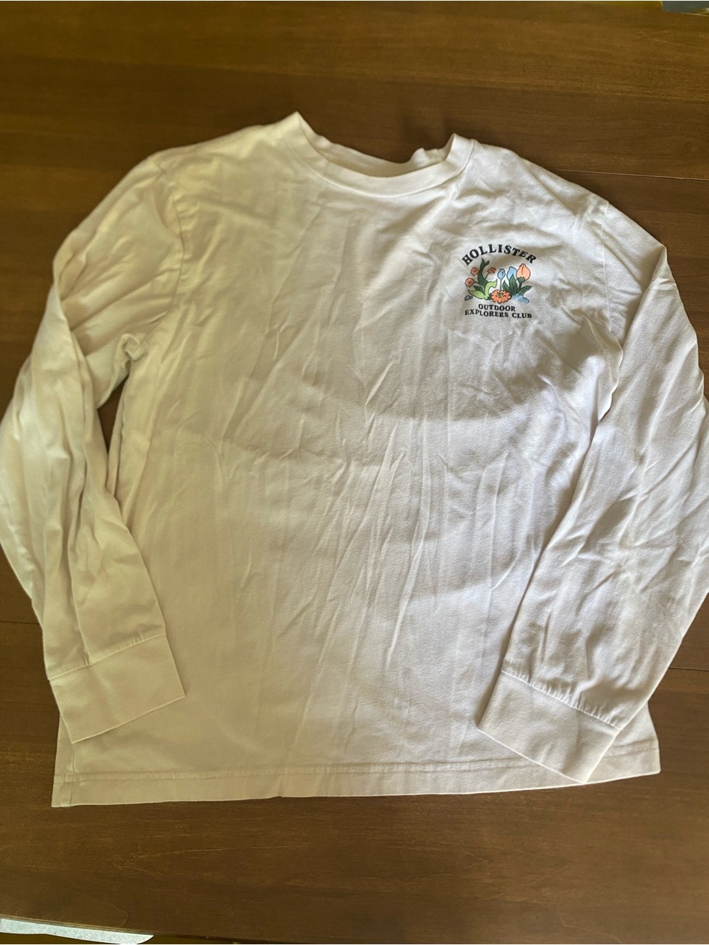 Hollister Long Sleeve Medium Relxaed Fit Tee - Outdoor Explorers Club